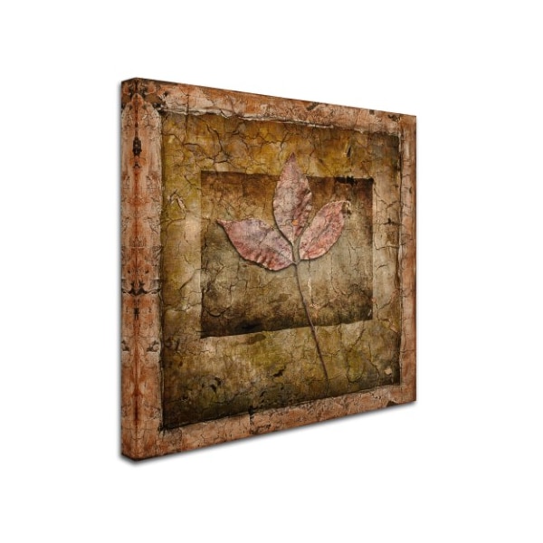 LightBoxJournal 'Autumn Leaves II' Canvas Art,14x14